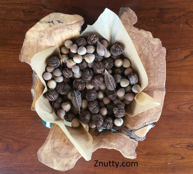 Nut Harvest Bowl - Grow your own!