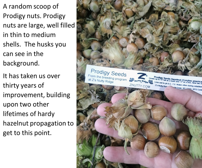 2026 Spring sales are nearing the end.   Plus our mistake gets you 20% savings