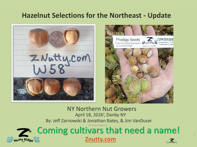 New Hazelnut Cultivars and Planning for Maximum Nut Production