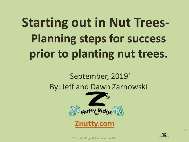 Nut Trees - Plan for Success