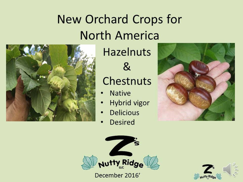Z's Nutty Ridge Farm Overview Video - Why Grow Hazels and Chestnuts