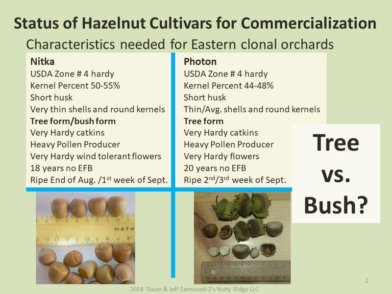 This presentation illustrates our efforts to bring hazelnuts to the Northeast.